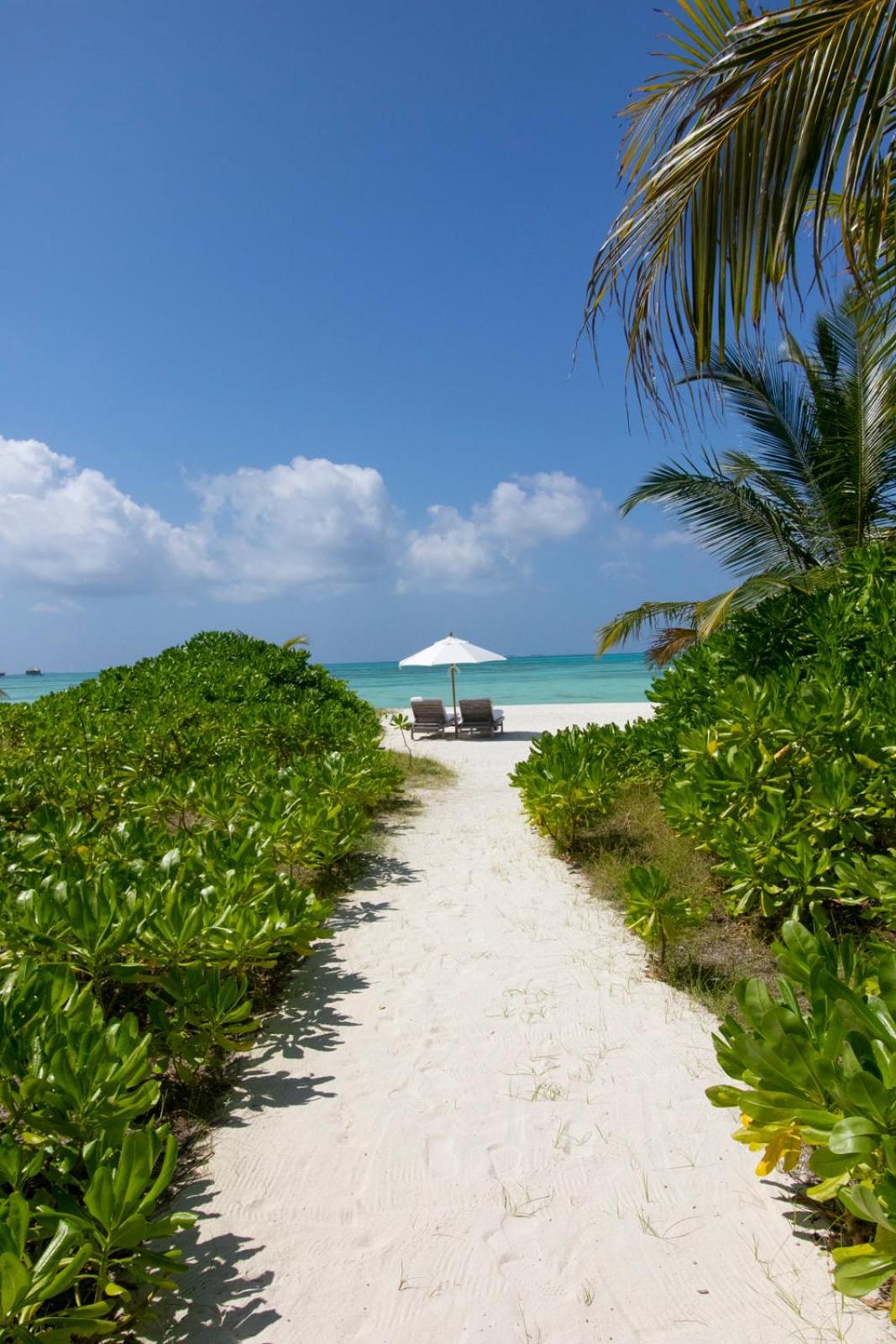 Acomodação Island Reserve de 3 Quartos com Toboágua